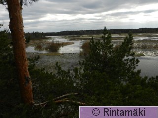 5.5.2015 Virrat Vermasjärvi Mäntylänlahti 4 PRKuva.JPG