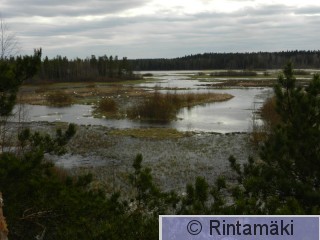 5.5.2015 Virrat Vermasjärvi Mäntylänlahti 5 PRKuva.JPG