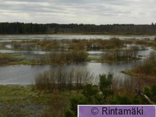 5.5.2015 Virrat Vermasjärvi Mäntylänlahti 7 PRKuva.JPG