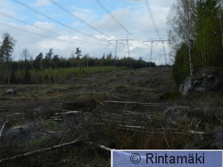 8.5.2015 Nokia Sorva Hormisto 17 PRKuva.JPG