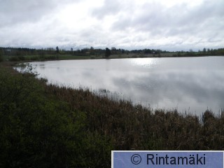 14.5.2015 Ylöjärven Ilmarinjärvi 1 PRKuva.JPG