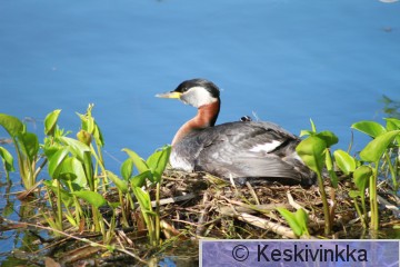 IMG_4696.JPG