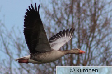 IMG_4431 2.jpg