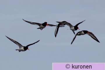 IMG_4443 2.jpg