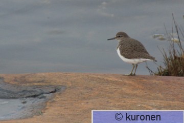 IMG_4222 2.jpg