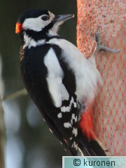 IMG_2744 2.jpg