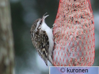 IMG_3022 2.jpg