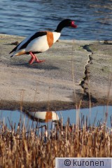 IMG_6015.JPG