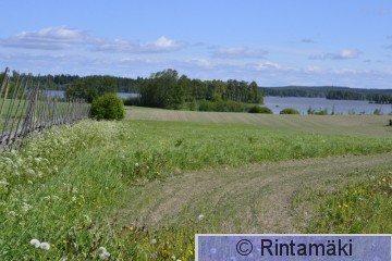 8.6.2015 Maisema Vesilahdelta 2 PRKuva.JPG