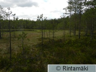 13.6.2015 Ylöjärvi Mustalammi 3 PRKuva.JPG