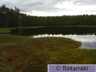 13.6.2015 Ylöjärvi Mustalampi 2 PRKuva.JPG