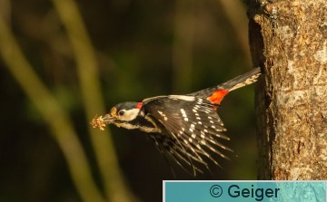 IMG_1542.jpg