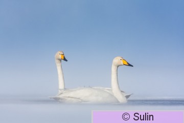 2011_03_25_0308.jpg