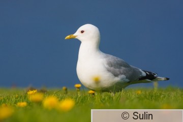 2011_05_23_8144.jpg