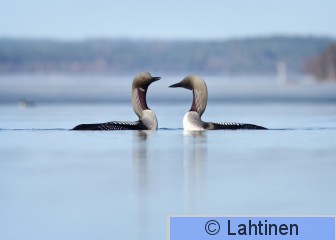 IMG_2791k.jpg