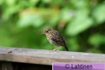 IMG_6193 k.jpg