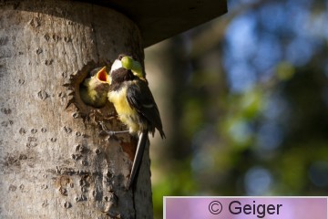 IMG_4473.jpg
