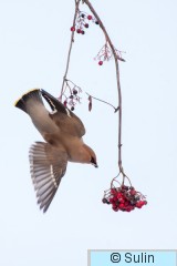 2012_12_02_4001.jpg