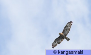 butbut iso-0588.jpg