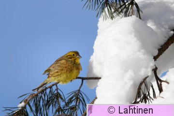 IMG_0252 k.jpg