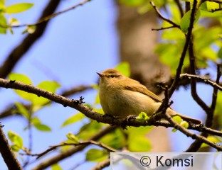 DSC_0091.JPG