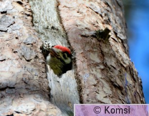 DSC_0160.JPG
