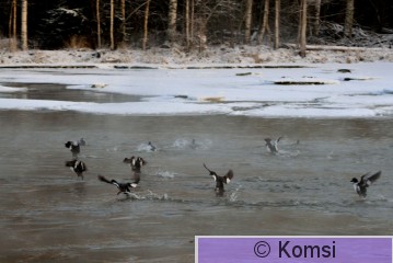 DSC_0127.JPG