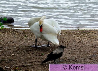 DSC_0658_01.JPG