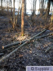 2016-04-02 07.47.55.jpg