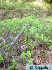 2016-05-19 11.45.19.jpg