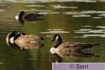 IMG_7373.jpg