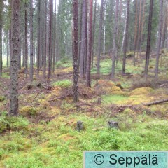 2016-06-16 13.59.45.jpg