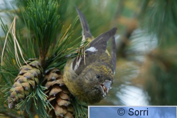 IMG_8679.jpg