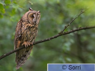 V16_8467-Pano.jpg
