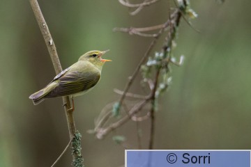 V16_8153.jpg