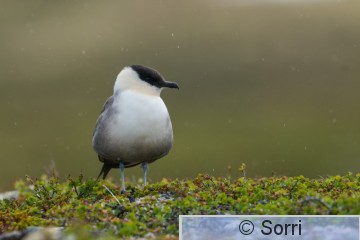 V16_7139.jpg