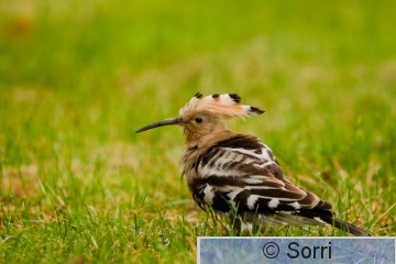 IMG_9999.jpg
