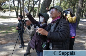 linturetki_Kakogawa160326_iso1.jpg