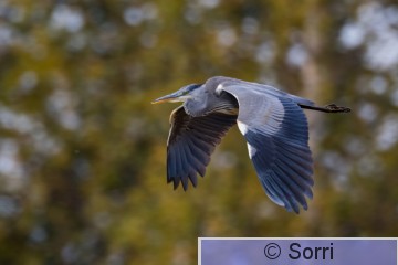 D72_5518.jpg