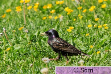 IMG_4100.jpg