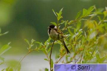 IMG_5739.jpg