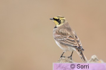 D72_6878.jpg