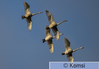DSC_7690.jpg