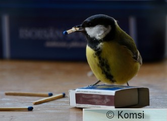 DSC_6111.JPG