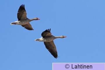 IMG_1892 k.jpg