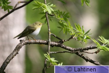IMG_3292 k.jpg