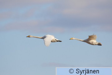 IMG_0800_2_2.JPG