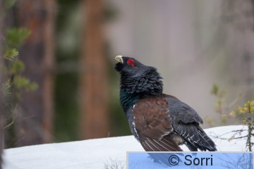 AH9T9168.jpg