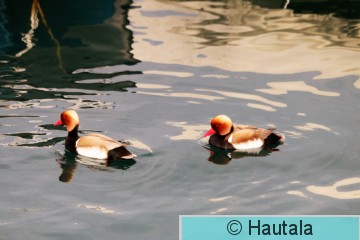 IMG_3312.JPG