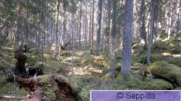 2017-05-14 08.54.37.jpg